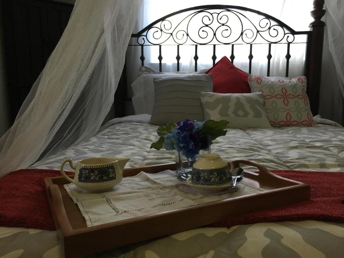 Heavenly Suite In Little Havana Free Parking 迈阿密 外观 照片