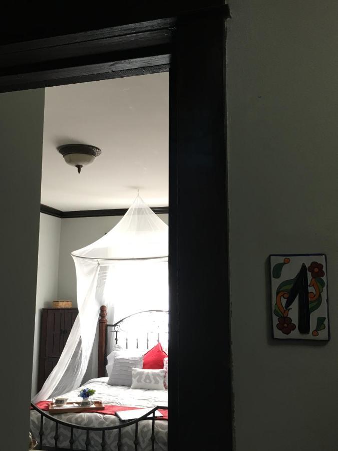 Heavenly Suite In Little Havana Free Parking 迈阿密 外观 照片